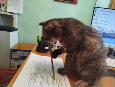 � �������� �������!. ����� ���� ����� ���������� ��������-�������������� ��������-�������������� �����