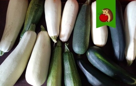 ������ �� ����� �� ���������: ��� �������� ����� � �������� �������