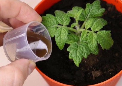 ��� �������� ������� ������� ������� � ������� ������� ���������