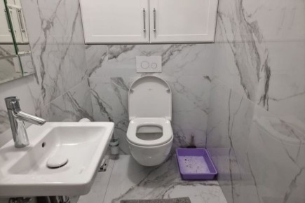 ������ ������� � �������: ��� ������ �������� �� 5 �����