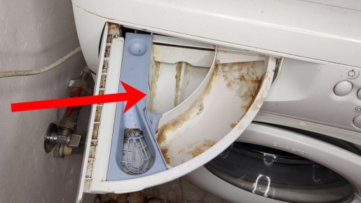 ������� � ����� ����: ����������� ������ ������� ����� ���������� ������