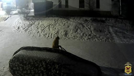 � ��������-������������� �������� ����� ��������� �� ����������