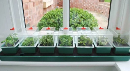 ������ ��� ������ �����: ��� ����� ����� ���������� �����������