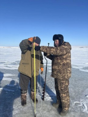 ������� ����� ����� �� 20 ����������� ����, ��� � ������� ����