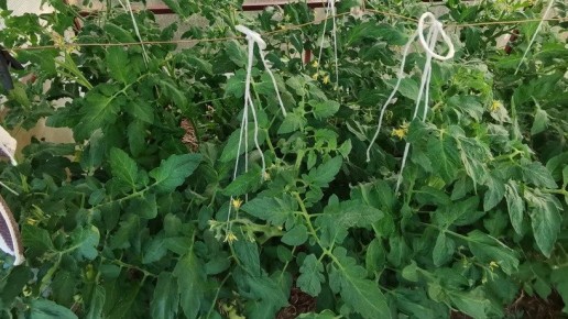 ��� 5 ����������� ������ ������� �������� ���������� ������ � ������� �������