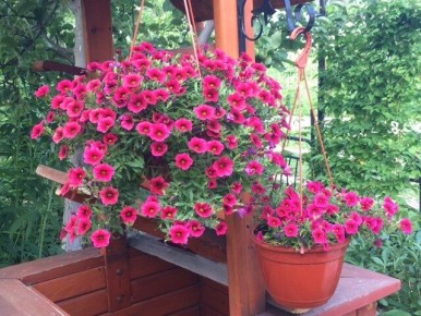 ����� ���������: ��� � ��������� ���������� � �������� ���������