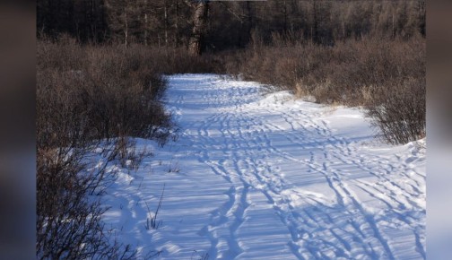 � ������������ ����������� ���� �������� ���������� � ������ ���������� ������