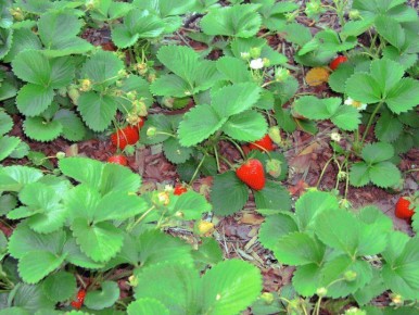 ��� �������� ���������� ����: ������� ����� �� ��������� � ������ ������