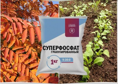 ������ ����� � ������ ����� ��� ������������ � ��� ��� �������� ������