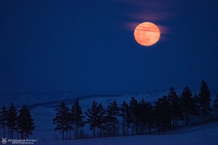 ������ ����, �����������!. ����� �������� ��� ����������� ����������! � �������� �������� � ��������� ���� � �������! ���� �� ��-������ �������� ������� @zabrtk | �� � MAX