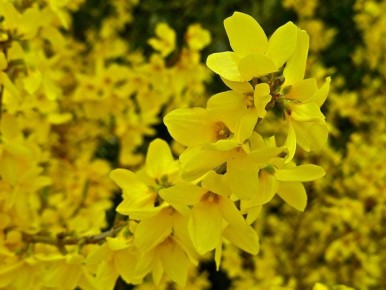 ����� ���������� �� ����� ���������� � ������� ������?