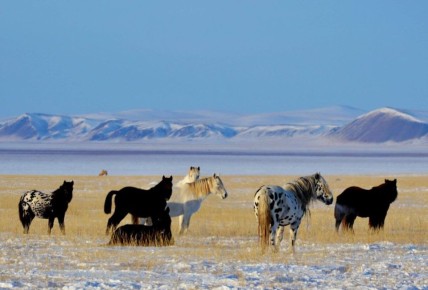 ������ ���� ������ ���������� � ����� �������! ������� 3 ������ � �������