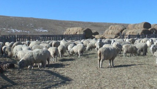 ���������� ��������� ��������� ���������� ������ � 2025 ���� �������� ������ �� ����� ����� ����� 120 ��� ������