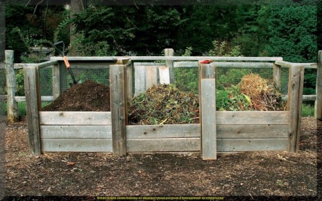 ��� ������� ��������� �������: 13 �������� ������� ��� ��������