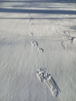 � ��������� ���������� ����� ����� ��������