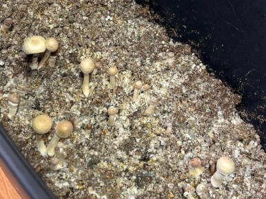 �� ��������� ������� ����� �� ����������� ��������������� ������