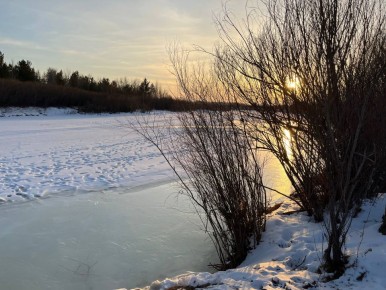 ������ ����, ��������� �������!