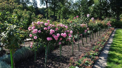 ��������� ������� ��� ����� ���