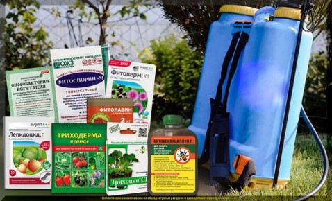 ������� ��������� �������������: ���� ������� � ���� ������