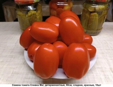 ����� ������� ������: ���������� ���� ��� ������ ���� � �����