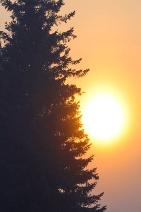 ������ ����, �����������!. ������ ��� ��������� ��� � �������� ����������! ���� �������� �������� @zabrtk | �� � MAX