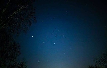 ������� ����, �����������. ���������� ������������ ��������� ������������ ����� � ���������� ������� ����� ��� �������, �� ������ ������ ���������? ���� �� ���� ��������� ���������� @zabrtk | MAX | VK