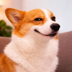 ����� ������� ���������� �� 15 000 ������ � �� ���v����� � ������ ������ ��, ��� ������, � ����� ������ �� ��� �����