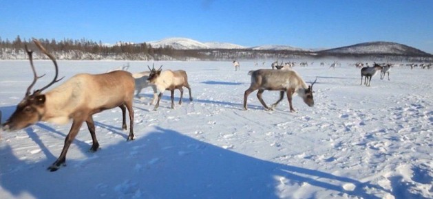 � ������ ������� �������� ������� ������