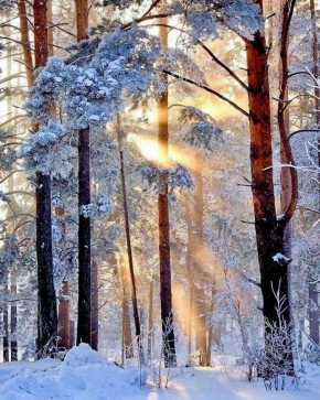 ������ ����, ������! �� ��������� � 13 �������, �������