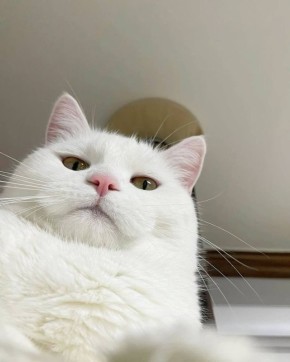 ������ ����, �����������!. � ��� ������� ����� �� �����? �����, ��������, �������� ����������