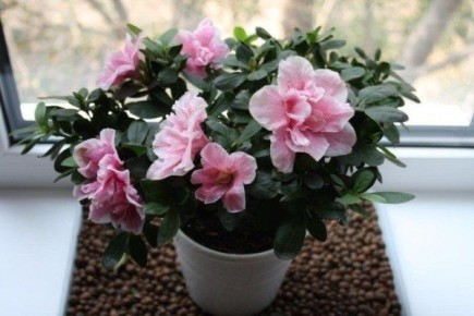 10 ���������������� ������ ��� ����� �� �������: ��� ��������� ������ ��������