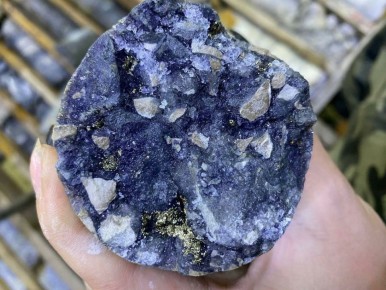 ����������� "�����������" ������� ������� ������������� �������� (����������� �����) ������� � ���������� � �������� ����� 5 ��� ����