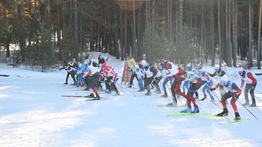 � ���������-������������� ������ ������ ������ � 2026�