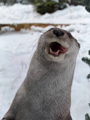 ������ ���������!. ������ ��� ������ ��������� � ��� ��������! �����: �� ������ ������ ����������, ������ ����� ��������� ���� ������� ������������ ����: ������������� ������� @zabrtk | �� � MAX