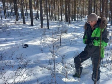 � ��������� ����� ����� ����������� ���������� ������, ������� � �����