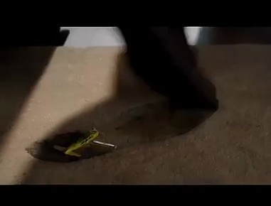 ��������� �� ���� �������� � �������!