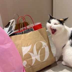 �������� � ��������� � ������ 15 000 ������ �� ������ � �� ���V�����!