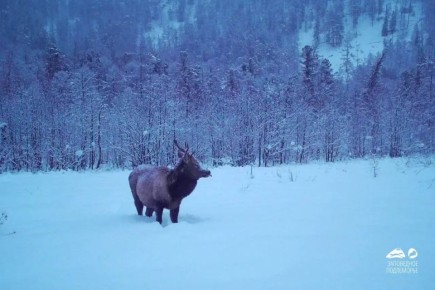 ��������� �������� � ������: ����� ������ ��� ������ �����