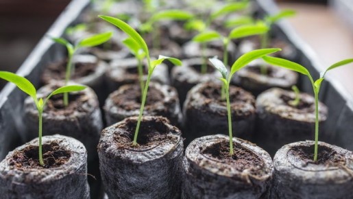 ��� ������� �������� ������� �������: ������� ������� �����������