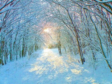 ������� � ������ ����� ���������