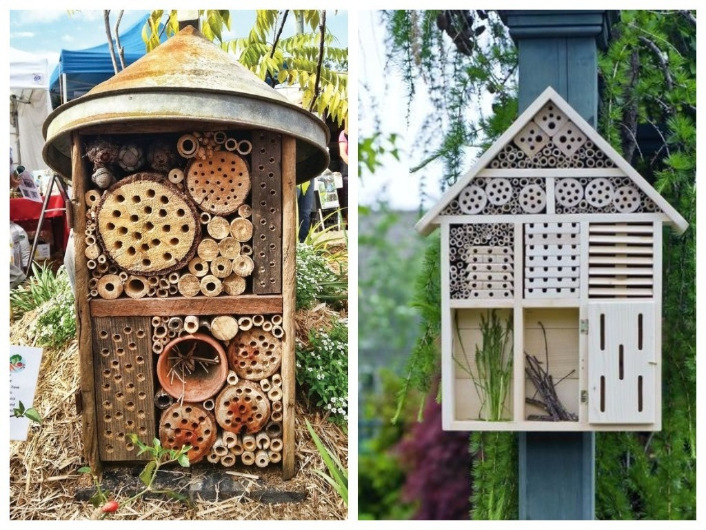 Эко-отель для насекомых: новый подход к борьбе с вредителями в саду