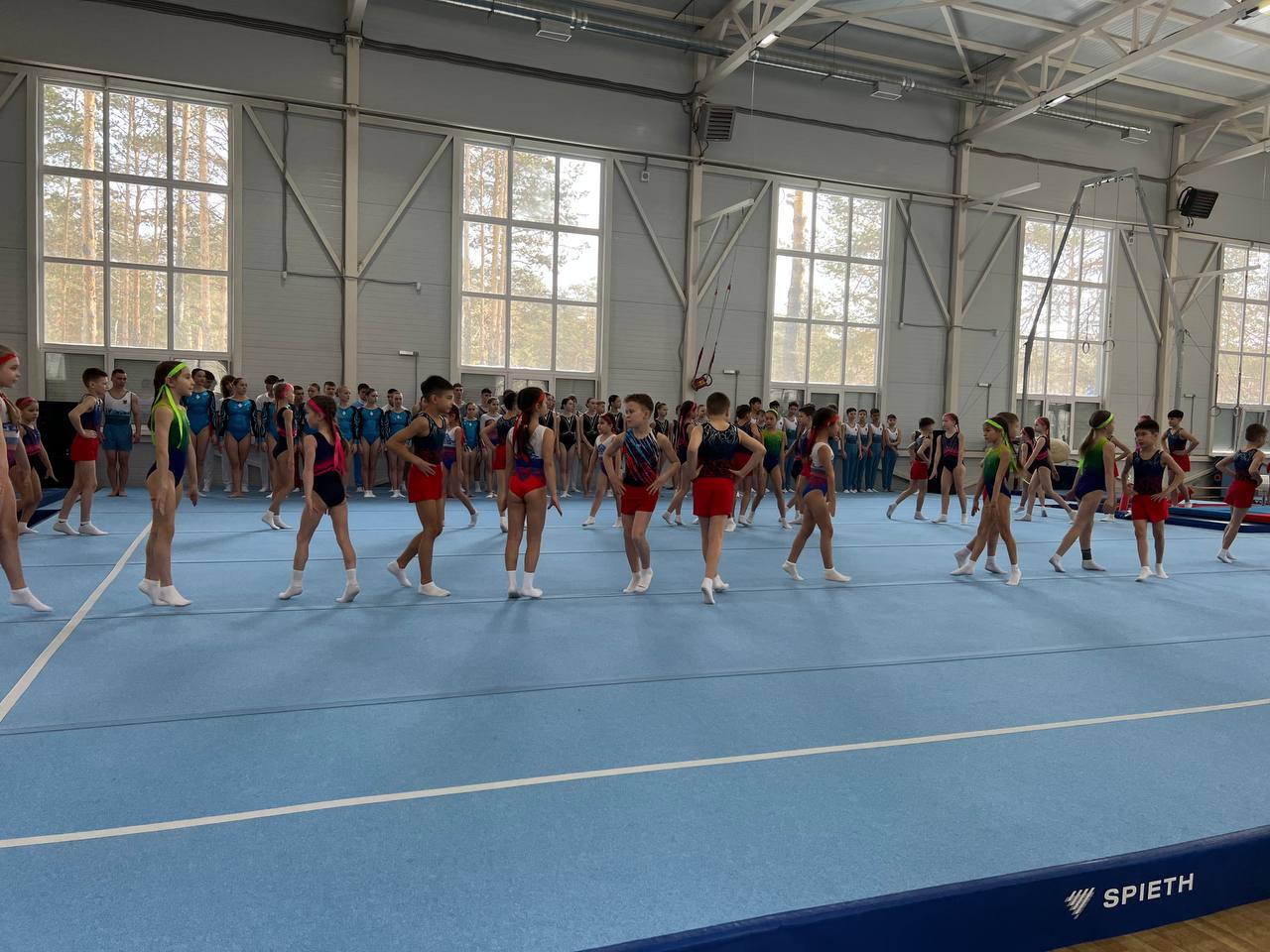 В Чите состоялось открытие Чемпионата и первенства ДФО по спортивной гимнастике В Чите состоялось открытие Чемпионата и первенства ДФО по спортивной гимнастике