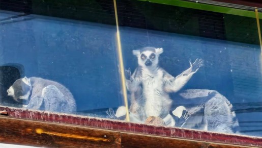 ������ ����, �����������. ������� ��� �������� ������ ��������� ������