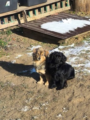 ������ ���� ������ ����������!