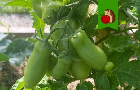 7 ������� ������, ����� ������ ���������� ������� � � ����� ����� �� ��������