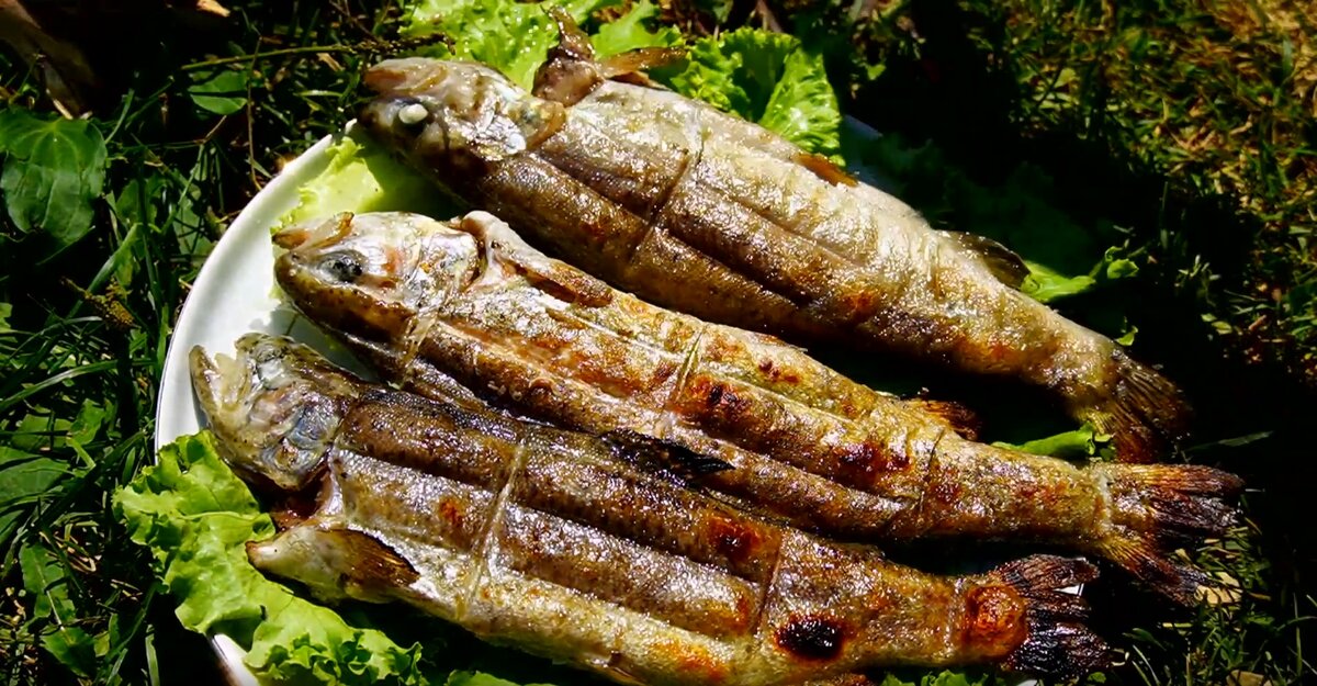 Эта рыба вкуснее шашлыка (рыба без костей и просто тает во рту)