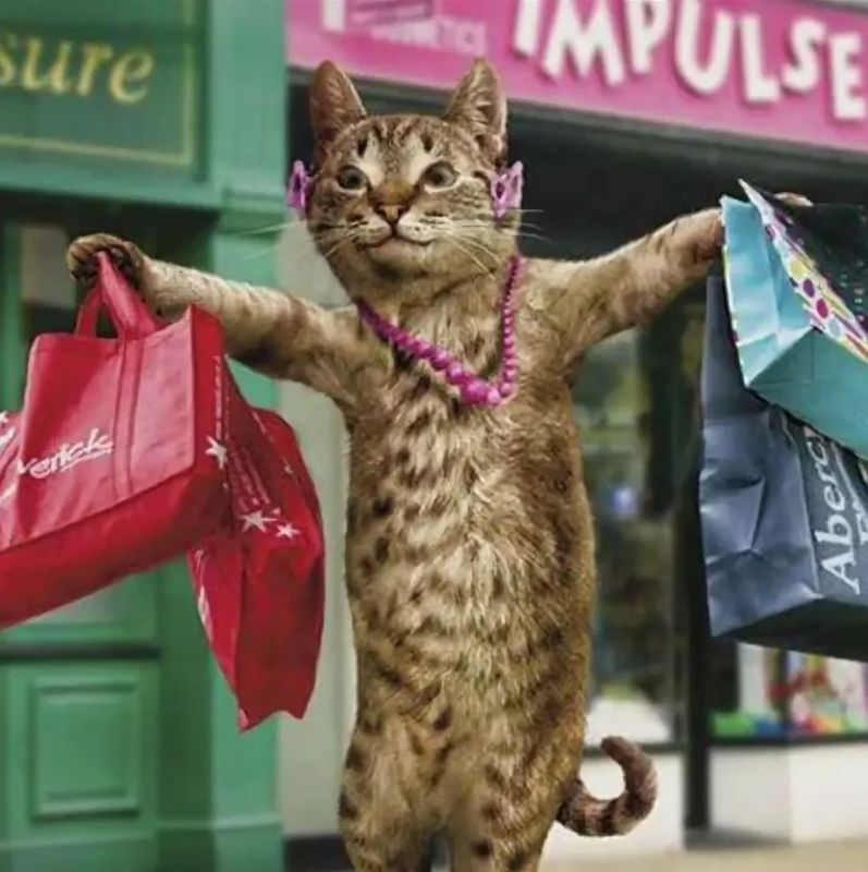 ����� ������� ���������� �� 15 000 ������ � �� ���v����� � ����� ��, ��� ����� �����