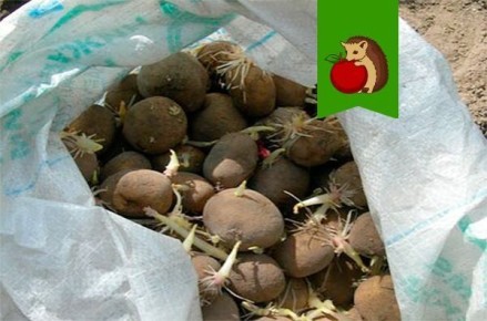 ����� ����� � �������� ���������: ���� ������� ��������?