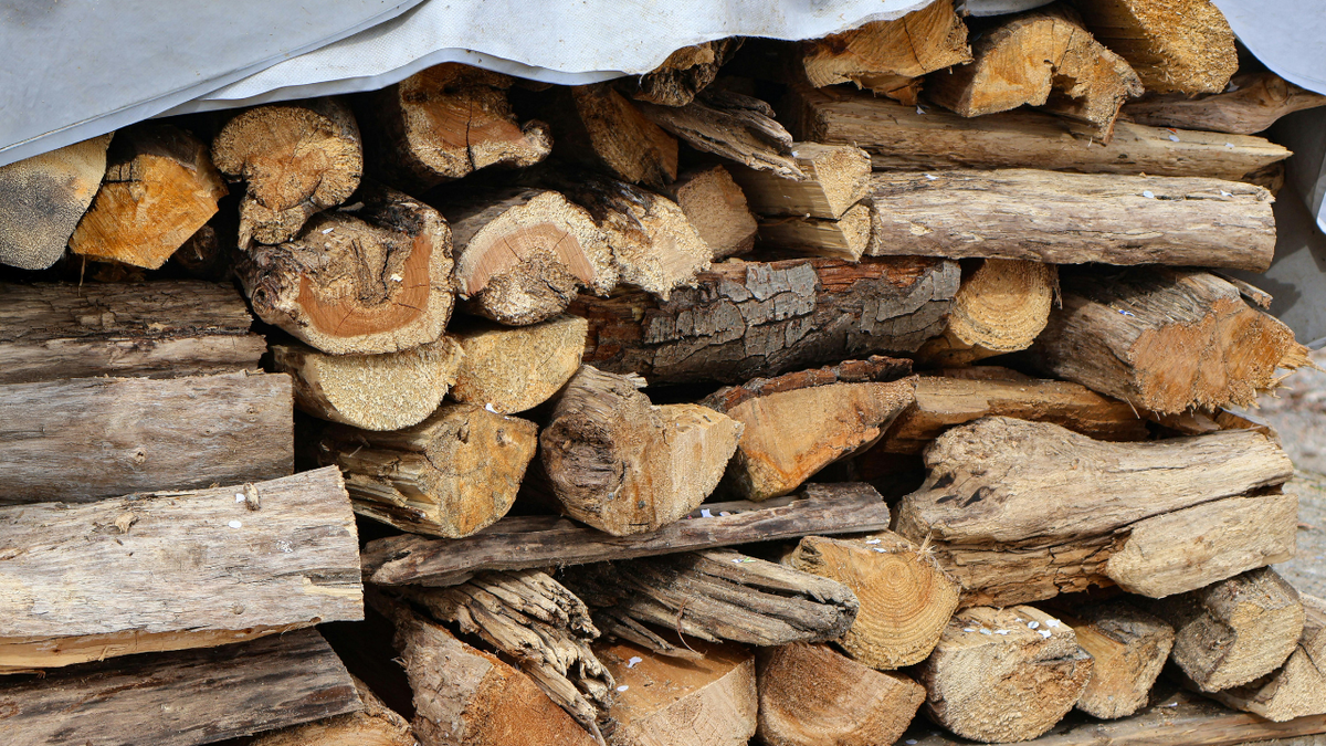 Как дрова стали причиной судебного разбирательства между соседями