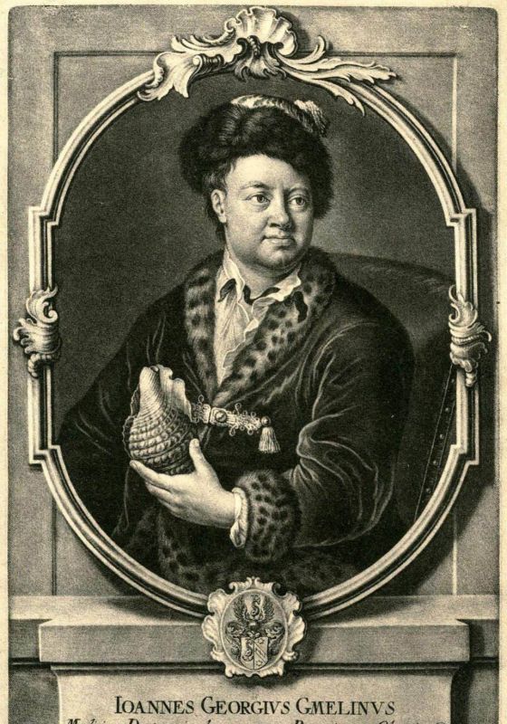 ������ ����� ������. �������� ������������������ �� ������� ������, ����, �������, ��������, �������������� � ������������� ������